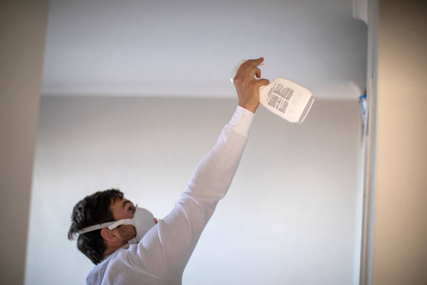 Best Mold Remediation  in Thiells, NY