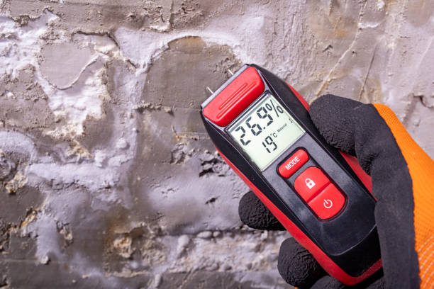 Best Attic Mold Removal  in Thiells, NY