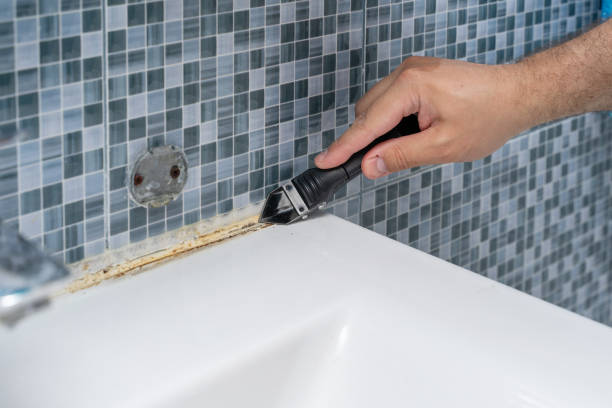 Best Professional Mold Removal  in Thiells, NY