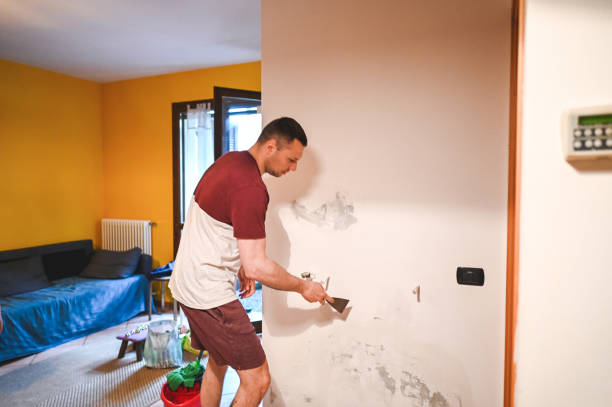Best Mold Remediation Services  in Thiells, NY
